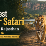 Best Tiger Safari in Kota Rajasthan