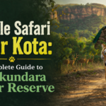 jungle safari near Kota