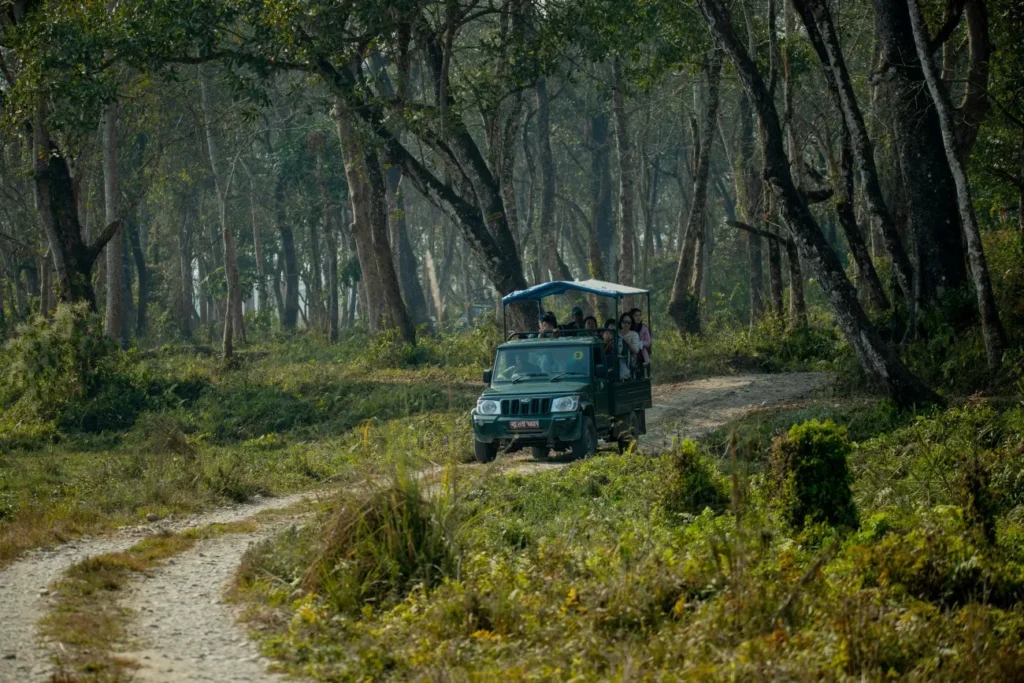 Jungle landscape near Mukundara Tiger Reserve
