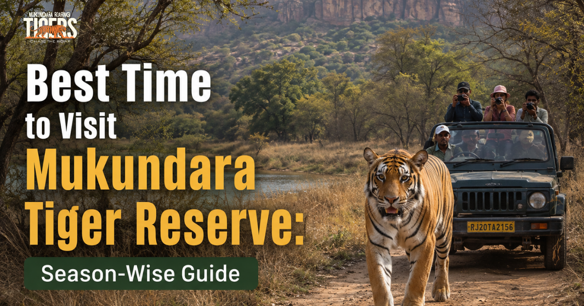 Best Time to Visit Mukundara Tiger