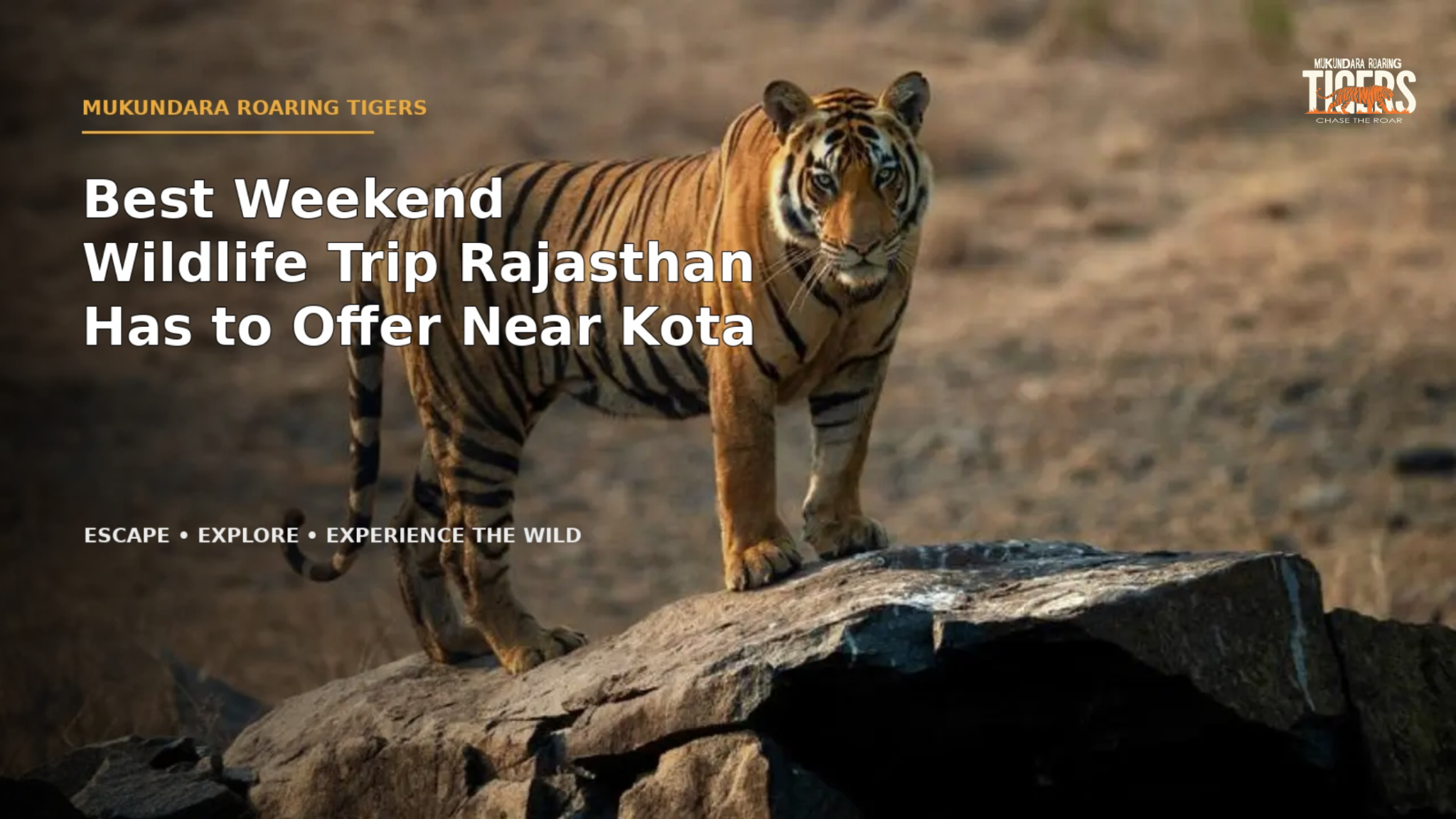 Best Weekend Wildlife Trip in Rajasthan