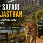 Tiger Safari in Rajasthan