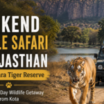 Weekend Jungle Safari in Rajasthan