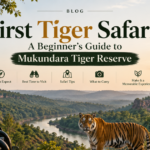 First Tiger Safari in Mukundara