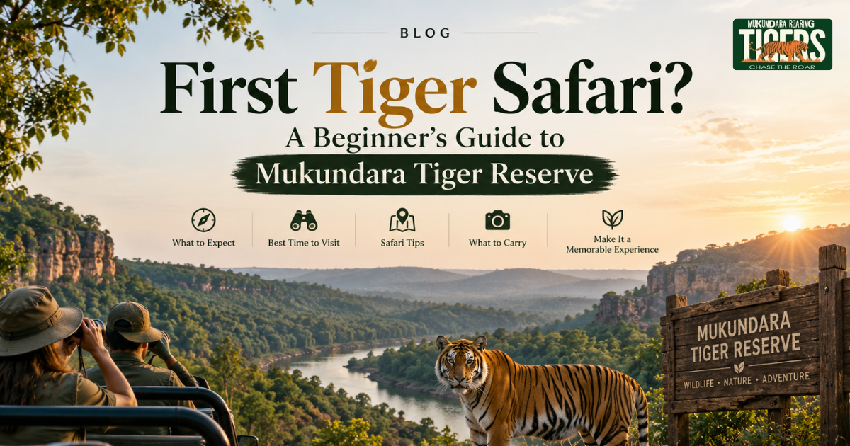 First Tiger Safari? A Beginner’s Guide to Mukundara Tiger Reserve