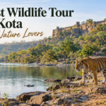 Best Wildlife Tour in Kota